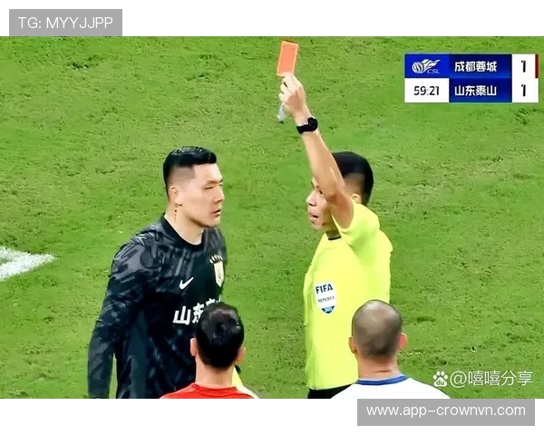 严重犯规的判罚标准：什么动作会被直接红牌罚下？